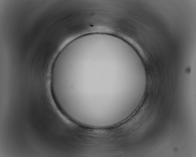 X0000103911383200809191109