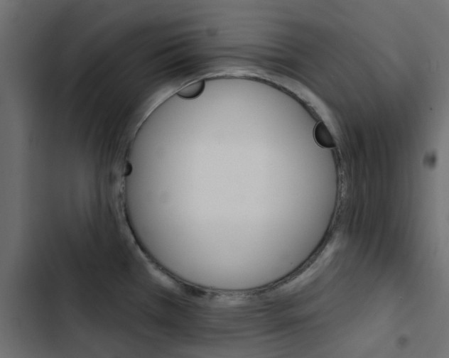 X0000103911385200809191109