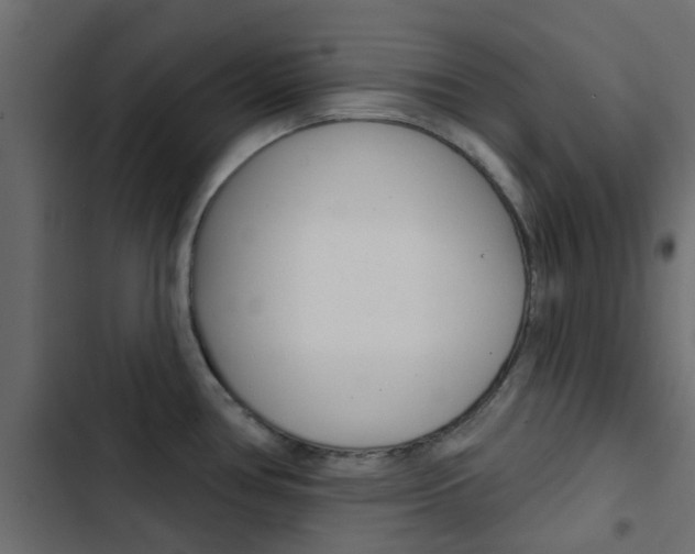 X0000103911386200809191109