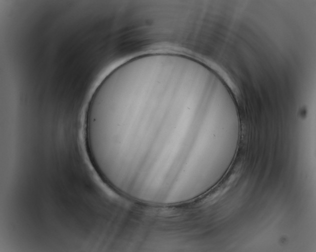 X0000103911387200809191109