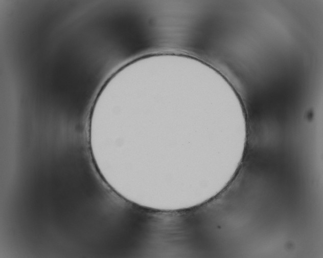 X0000103911388200809191109