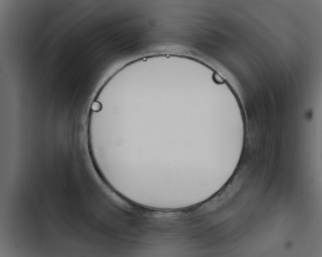 X0000103911389200809191109