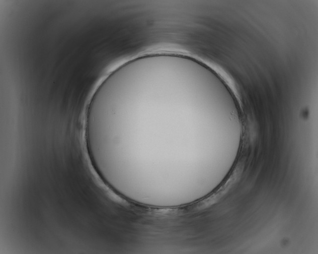 X0000103911390200809191109