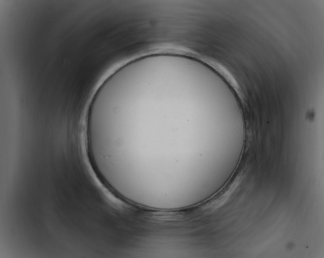 X0000103911391200809191109
