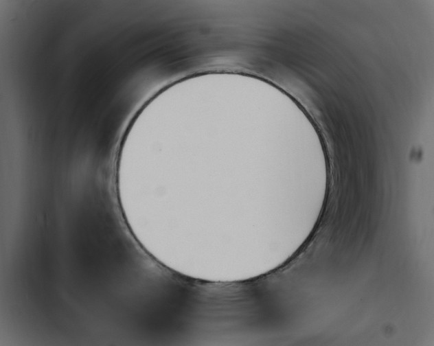 X0000103911392200809191109