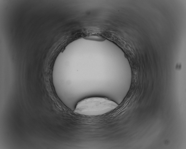 X0000103911393200809191108