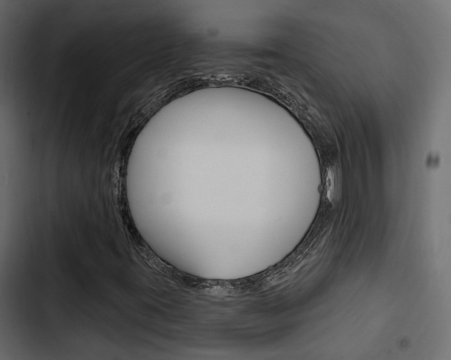 X0000103911395200809191108