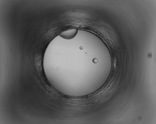 X0000103911396200809191108