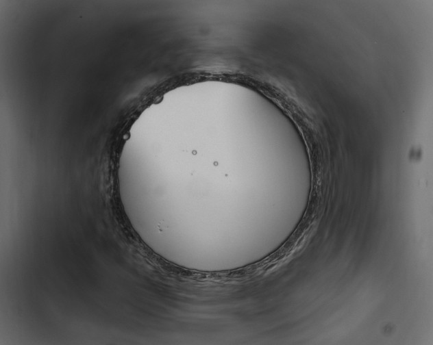 X0000103911398200809191108