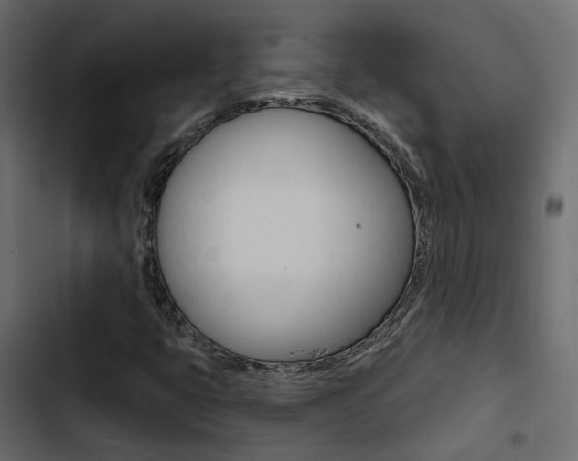 X0000103911399200809191108