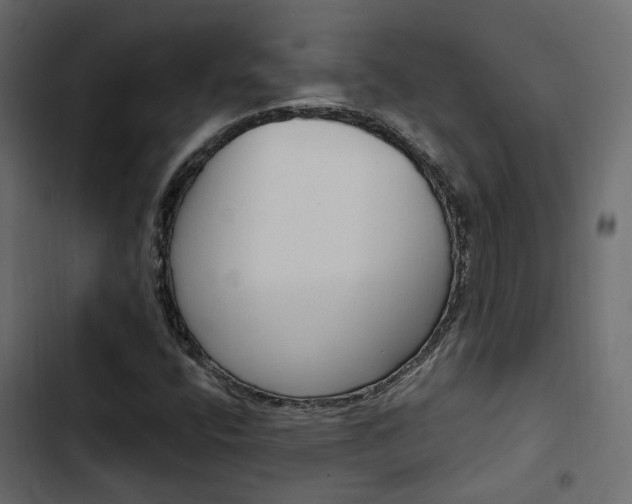X0000103911400200809191108
