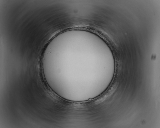 X0000103911401200809191108