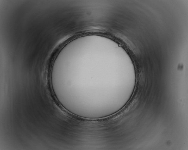 X0000103911402200809191108