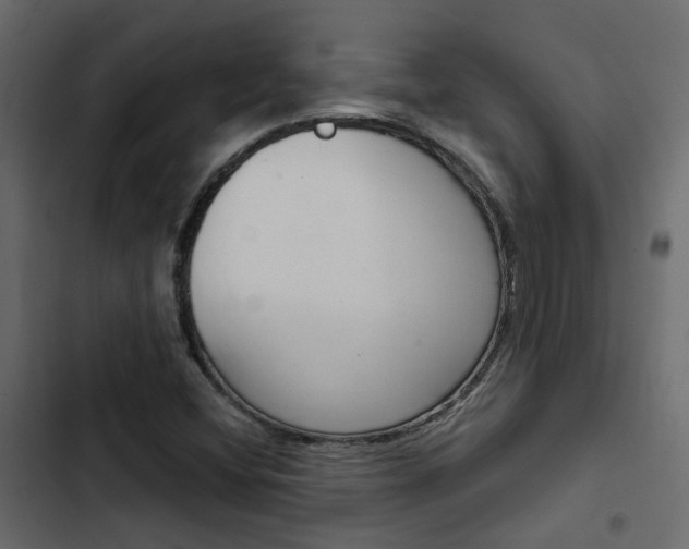 X0000103911404200809191108
