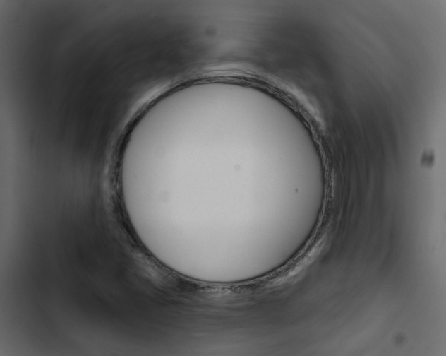 X0000103911405200809191108