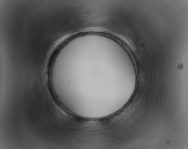 X0000103911406200809191108
