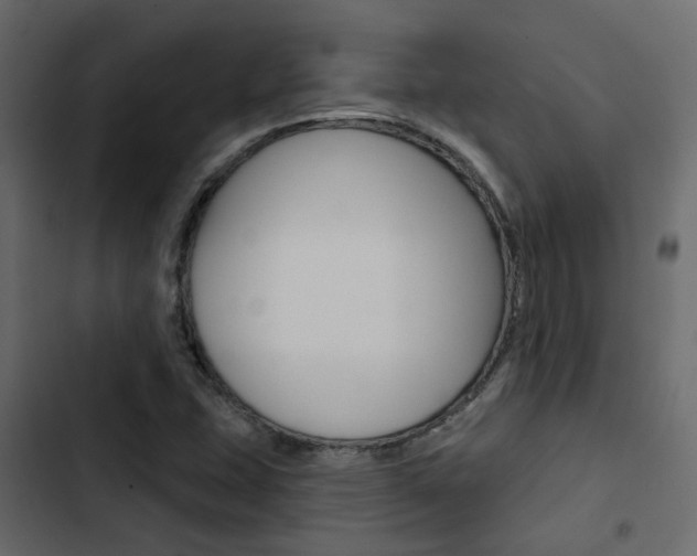 X0000103911407200809191108