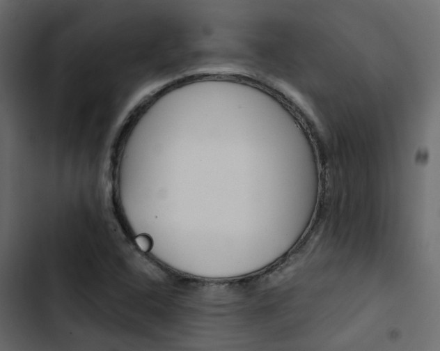 X0000103911408200809191108