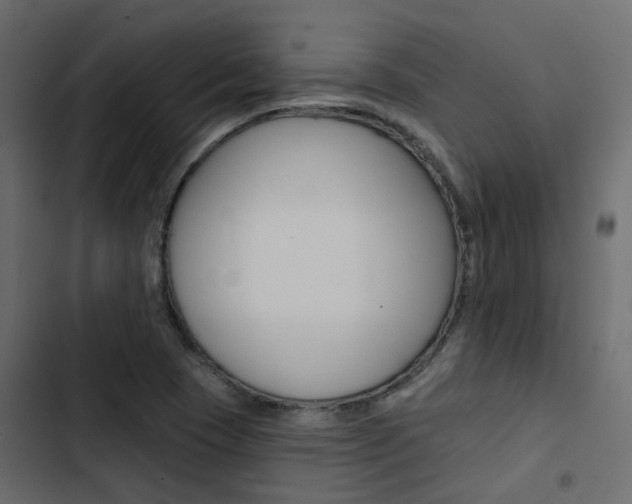 X0000103911409200809191108