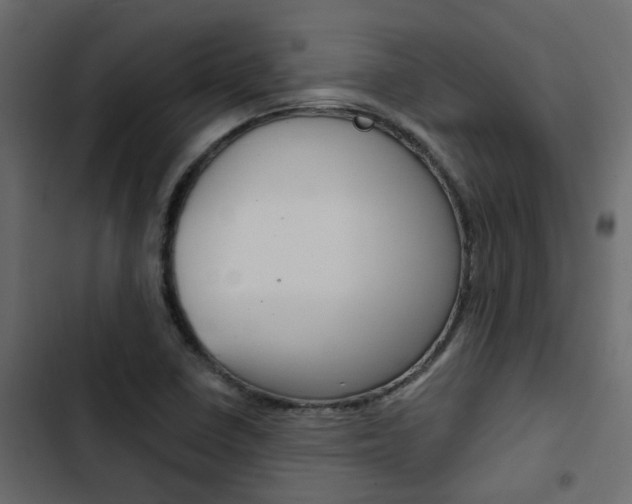 X0000103911410200809191108