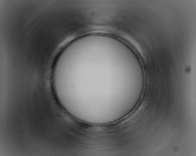 X0000103911411200809191108