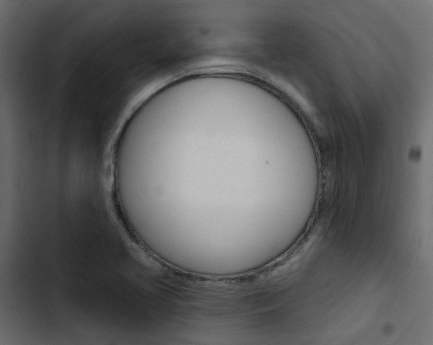X0000103911413200809191108