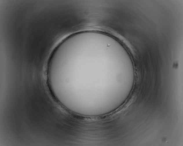 X0000103911415200809191108