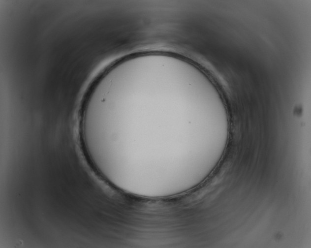 X0000103911416200809191108