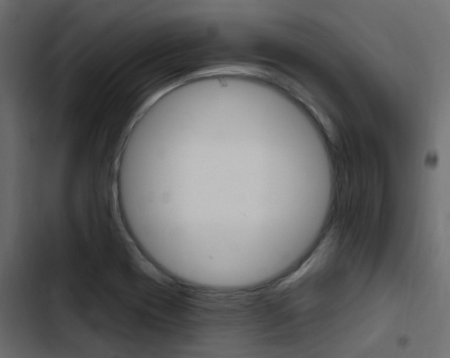 X0000103911417200809191108
