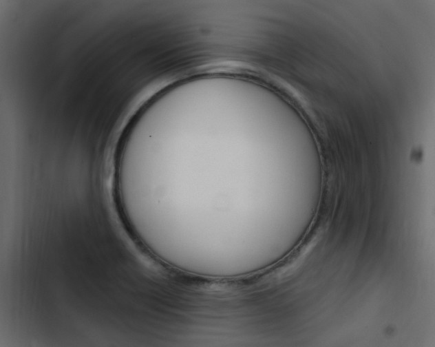X0000103911418200809191108