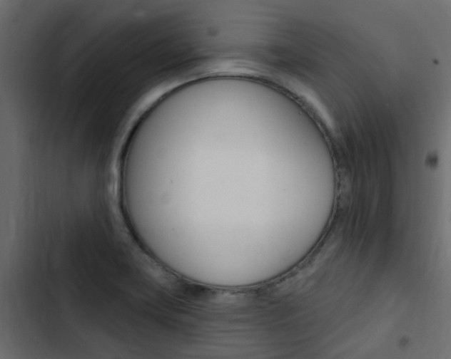 X0000103911419200809191108