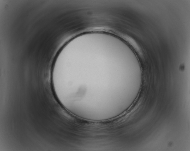 X0000103911420200809191108