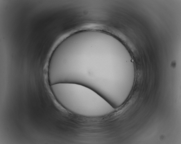 X0000103911421200809191108