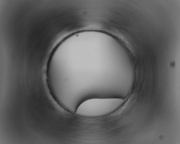 X0000103911422200809191108
