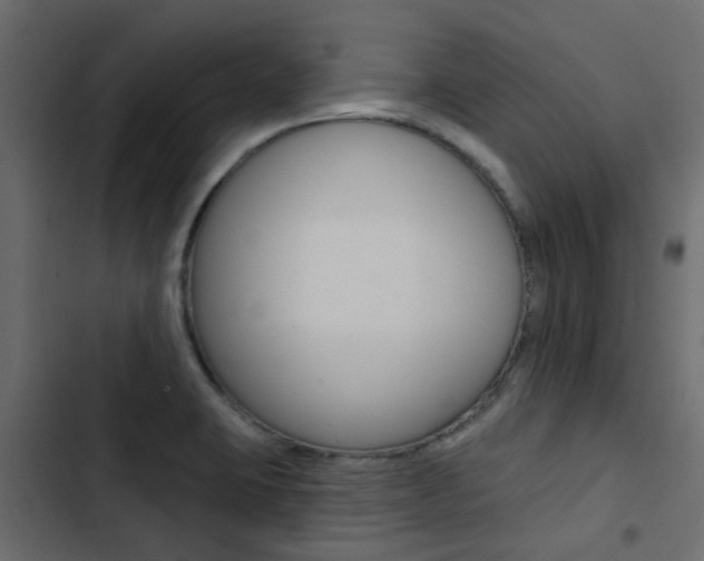 X0000103911423200809191108