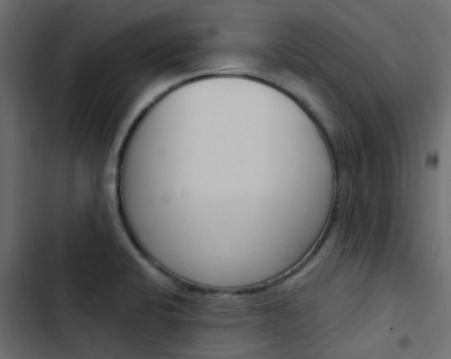 X0000103911424200809191108