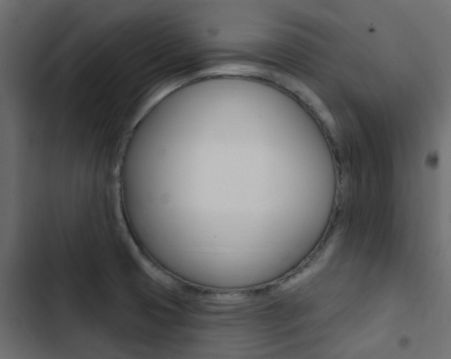 X0000103911425200809191108