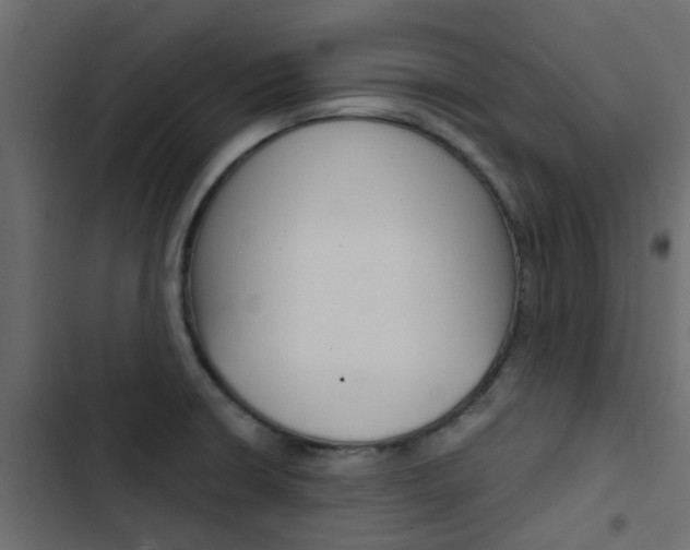 X0000103911426200809191108