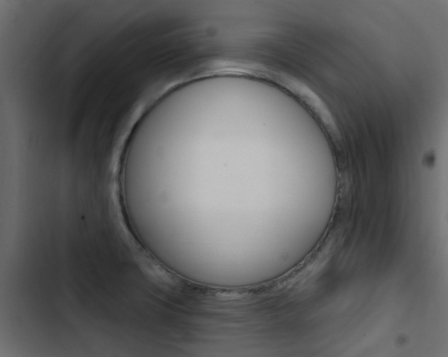 X0000103911427200809191108