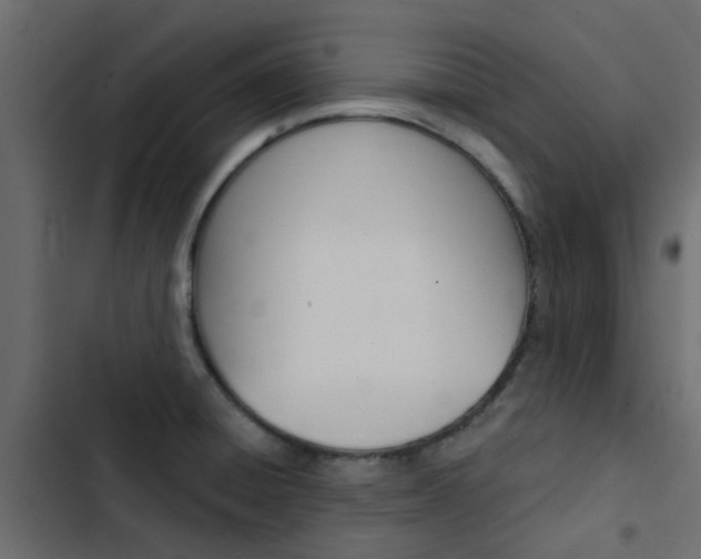 X0000103911428200809191108