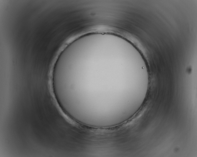 X0000103911429200809191108