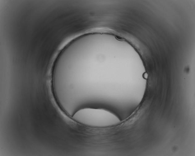 X0000103911430200809191108