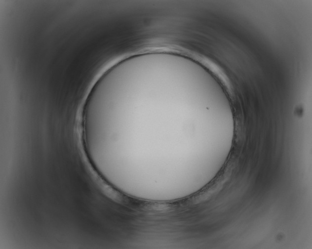 X0000103911431200809191109