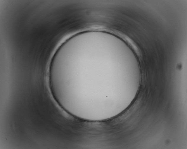X0000103911432200809191109