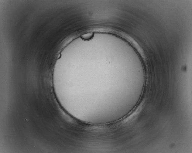 X0000103911433200809191109