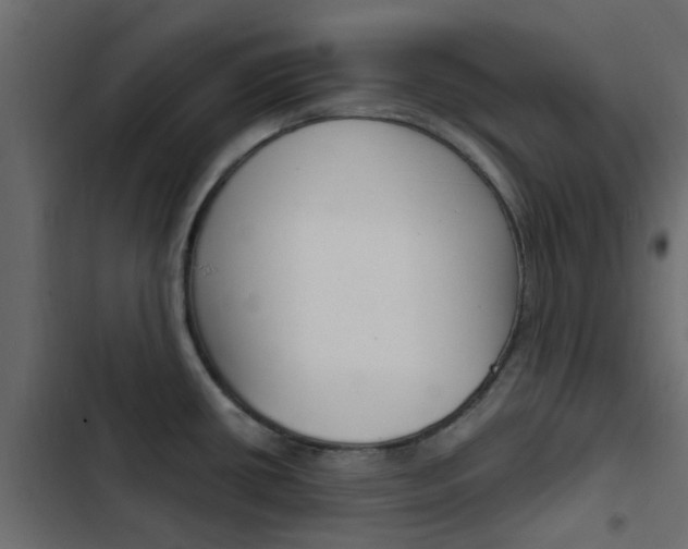 X0000103911434200809191109