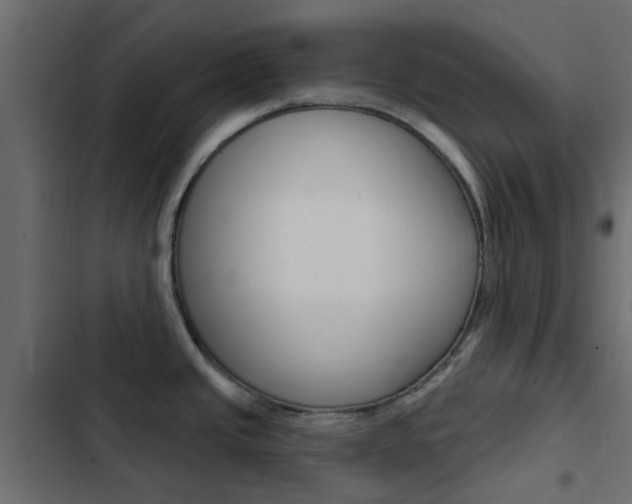 X0000103911437200809191109