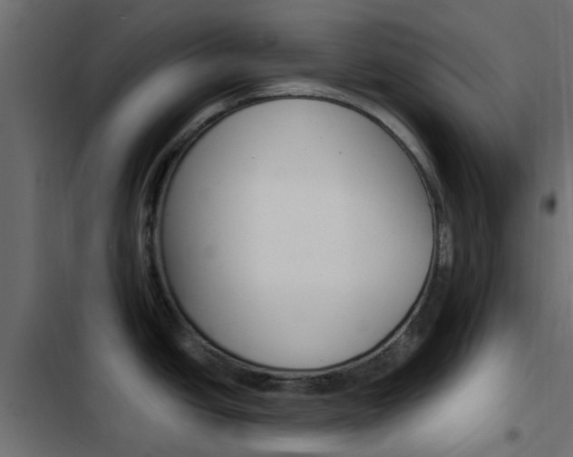 X0000103911438200809191109
