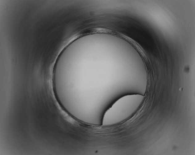 X0000103911439200809191109