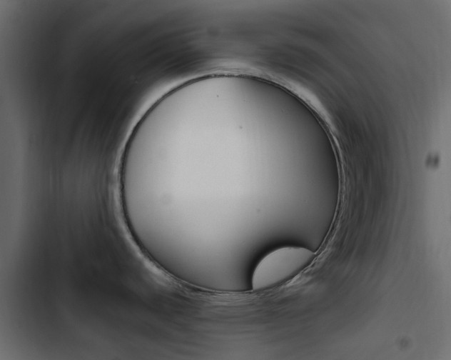 X0000103911440200809191109